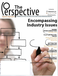 perspective issue 8